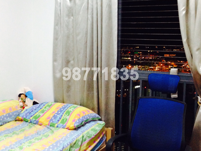 Blk 1C The Pinnacle@Duxton (Bukit Merah), HDB 5 Rooms #40941092